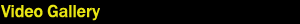 Video Gallery